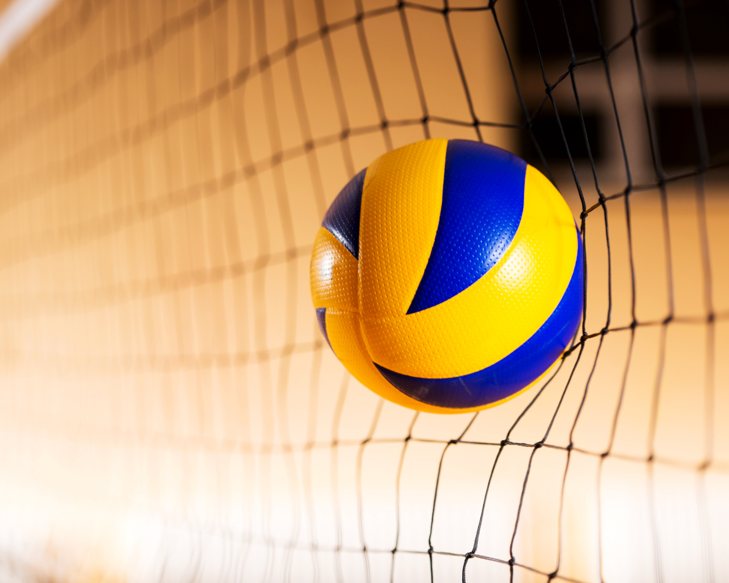Voleibol